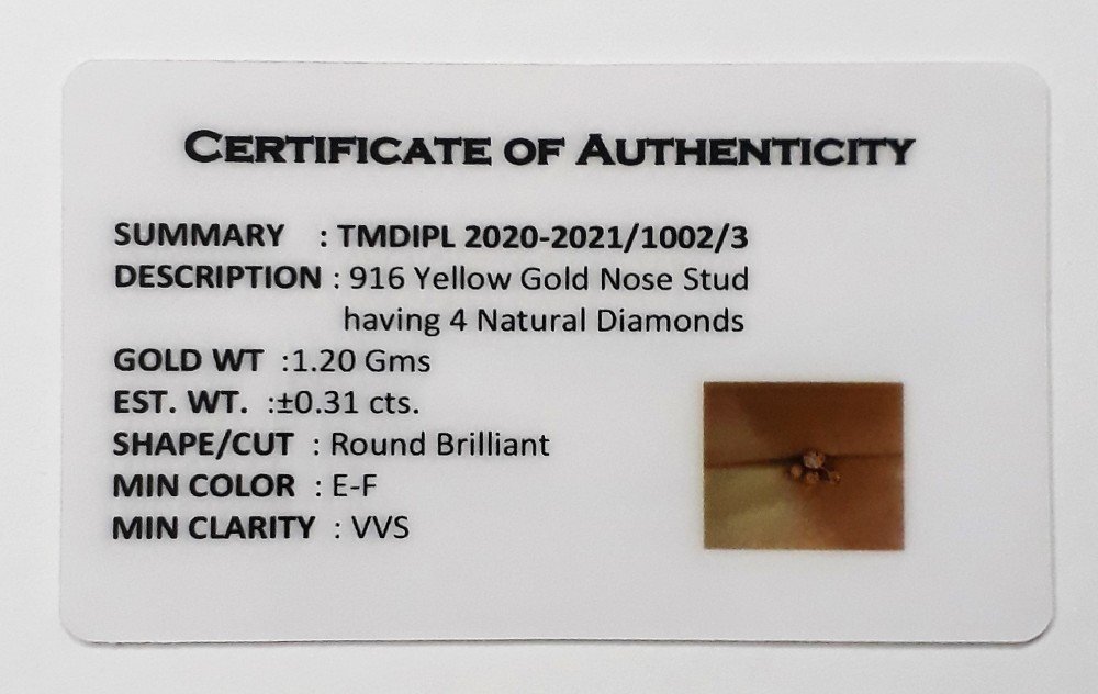 You are currently viewing 2020-2021/1002/3