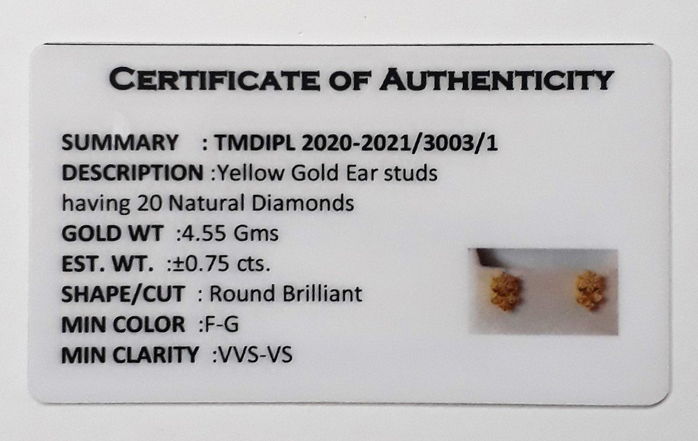 You are currently viewing 2020-2021/3003/1