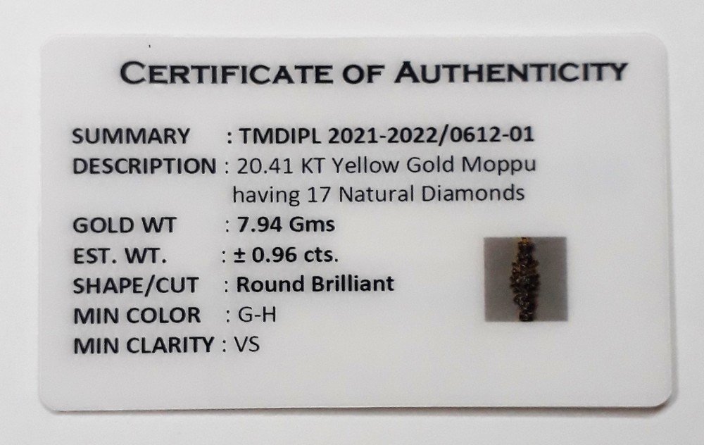 You are currently viewing 2021-2022/0612-01