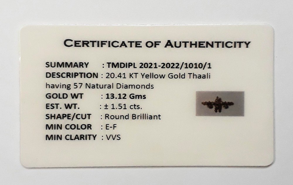 You are currently viewing 2021-2022/1010/1