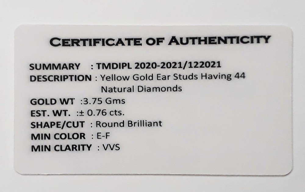 You are currently viewing 2021-2022-2011/122021