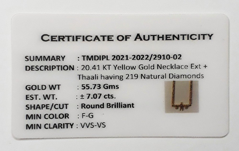 You are currently viewing 2021-2022/2910-02