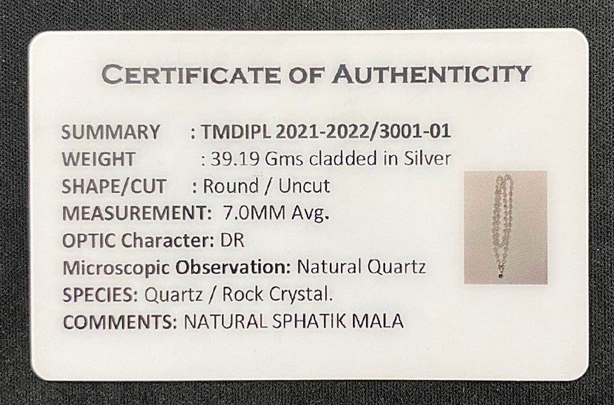 You are currently viewing 2021-2022/3001-01